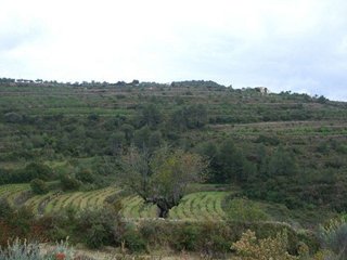 Terreno en venta en Benissa pueblo en Benissa