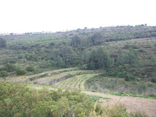 Terreno en venta en Benissa pueblo en Benissa