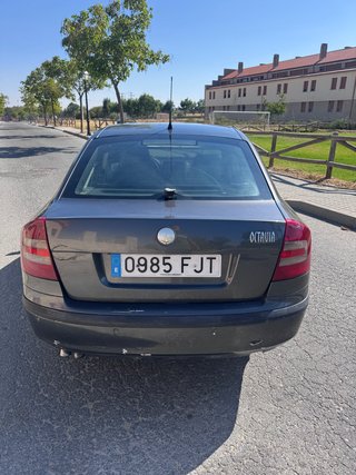Skoda Octavia DSG