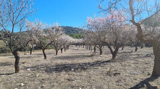 Chalet en venta en Biar