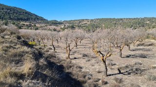 Chalet en venta en Biar