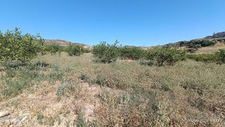 Terreno en venta en Álora