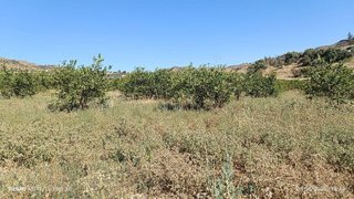 Terreno en venta en Álora