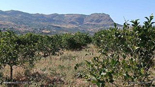Terreno en venta en Álora