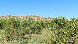 Terreno en venta en Álora