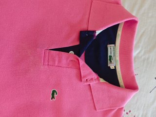 Polo Lacoste Caballero Rosa