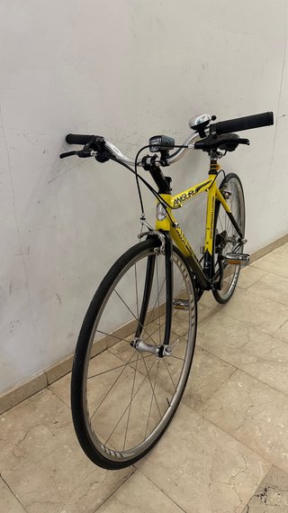 Bicicleta Pinarello Angliru Talla XS
