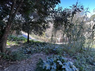 Solar en venta en La Floresta - Les Planes en Sant Cugat del Vallès