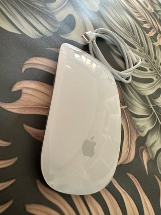 Apple Magic Mouse Blanca + Cable Lightning