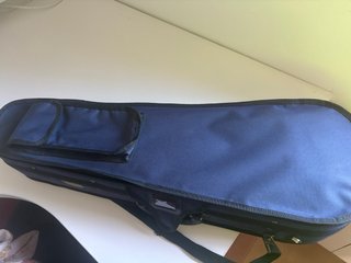 Viola con funda azul
