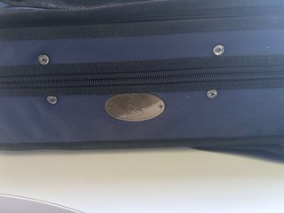 Viola con funda azul