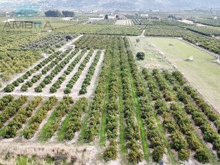 Terreno en venta en Pego