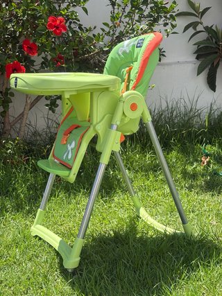 Trona Babies on Tour Verde