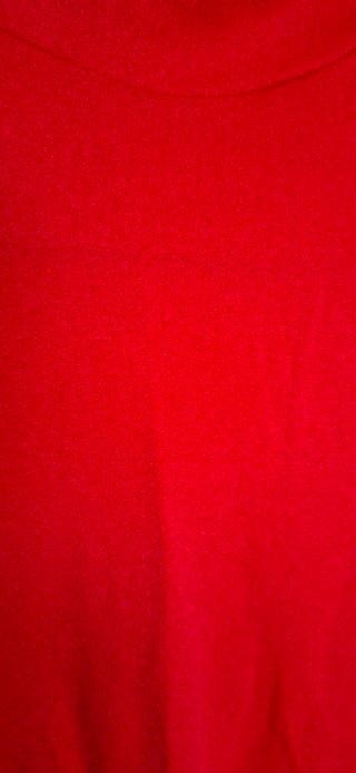 Jersey cuello alto rojo