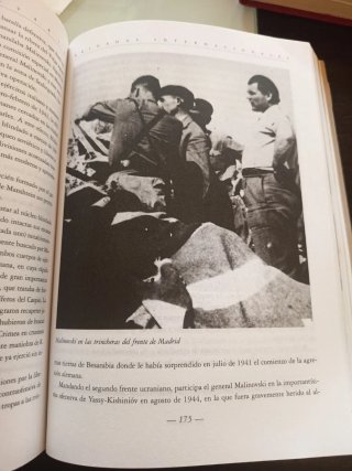 Historia política y militar de las Brigadas Int...