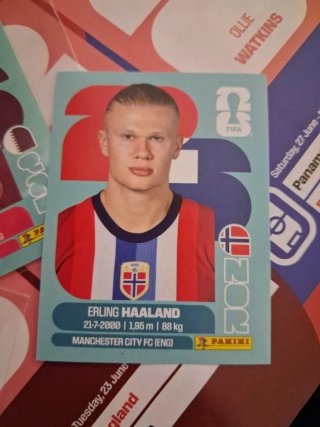 Cromos Mundial: Haaland, Pedro Miguel, Mbappé 10€