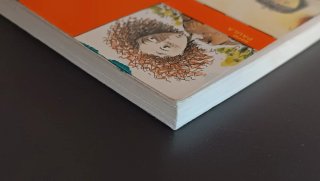 Libro Paula y el amuleto perdido