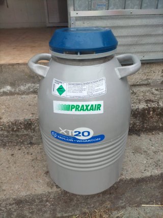 Tanque nitrógeno inseminación vacuno