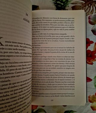 La profesora