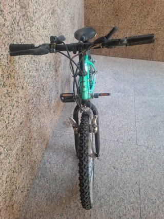 Bici infantil 20 color verde