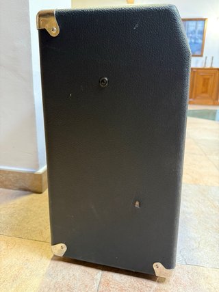 Amplificador Fender Champion 100