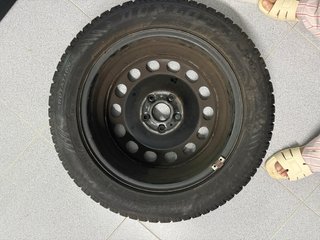 Rueda / Neumático Invierno Dunlop 205/55R16 x4
