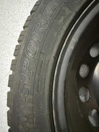 Rueda / Neumático Invierno Dunlop 205/55R16 x4