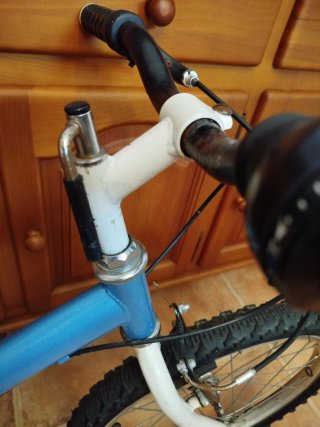 Bici pieghevole per bambini con ruota da 20 pollici