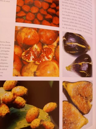 Libro La Cocina Valenciana.