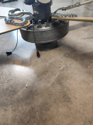 Ventilador de techo forja con 5 aspas