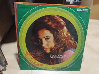 Vinilo antiguos