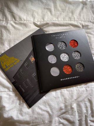 Vinilos Favourite Worst Nightmare y Blurryface