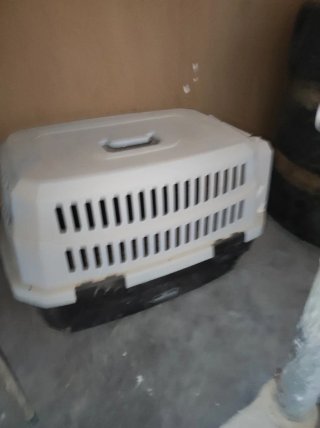 Transportín grande para perro