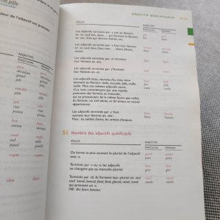 Bescherelle: La Grammaire Pour Tous -  Francese