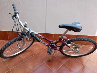 Bicicleta infantil morada