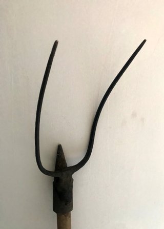 Forca fieno antica 2 denti ferro battuto