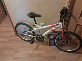 Bicicleta infantil DENBIKE