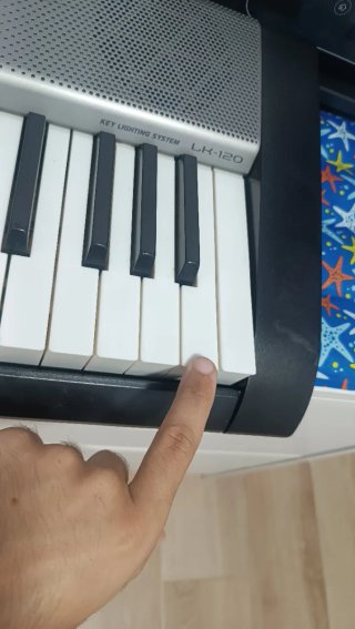 Teclado Casio LK-120