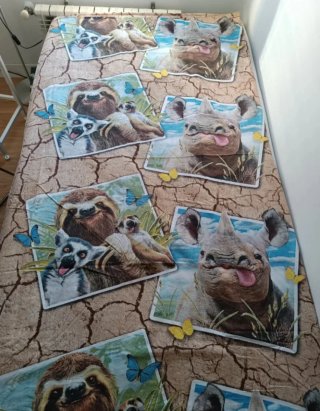 Edredón y 2 fundas (envío o recoger en persona)