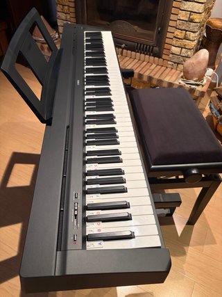 Yamaha P-45 + soporte + banqueta + funda