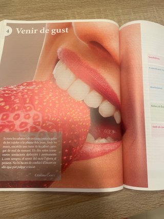 Sentits. Llengua catalana 2 Batxillerat