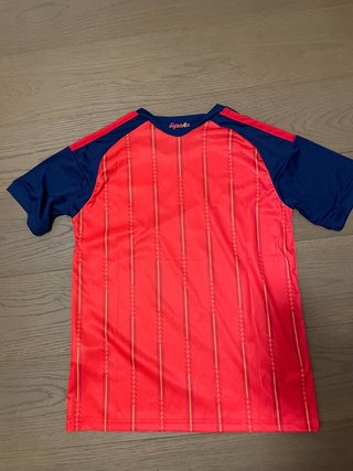 Camiseta España 2026