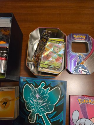 Carte Pokemon