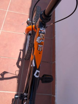 Bicicleta Infantil 20 pulgadas Negra y Naranja