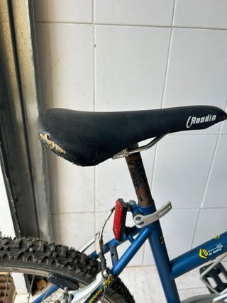 Bicicleta Boomerang Dolphin Azul