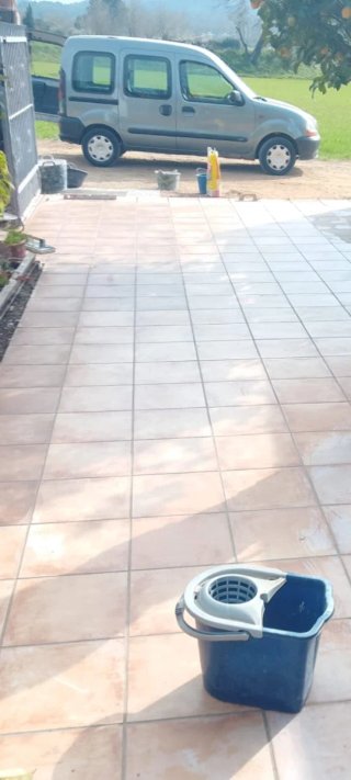Paleta económico