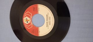 45 giri BR 50255 Romina Power Il ballo del Qua qua