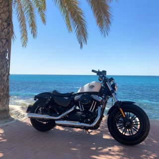 Harley Davidson Sportster Forty Eight 1200