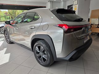 Lexus UX 2.0 250h Business