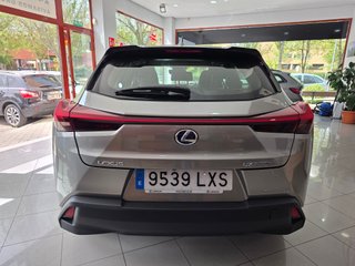 Lexus UX 2.0 250h Business